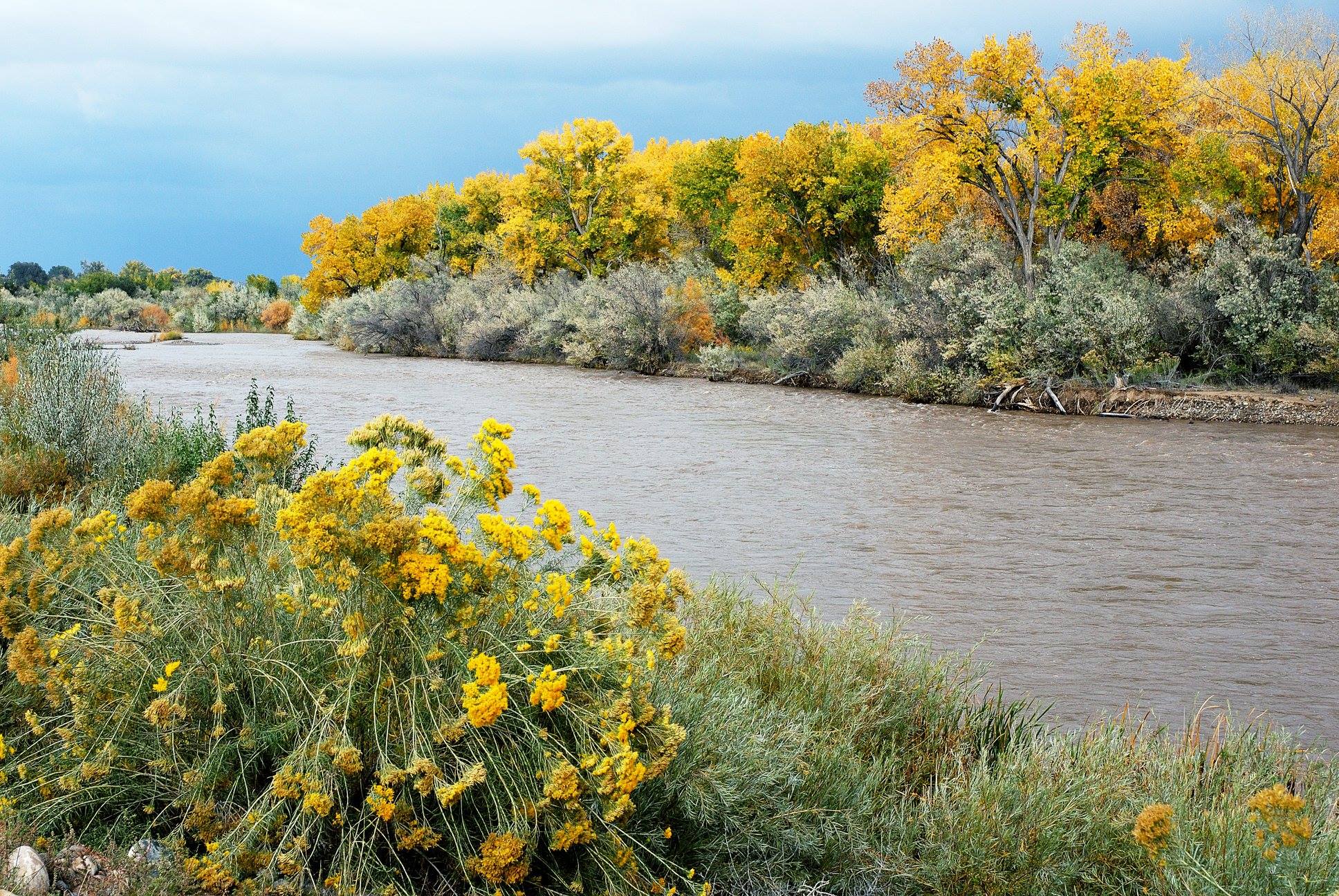 Fall colors along the San Juan River