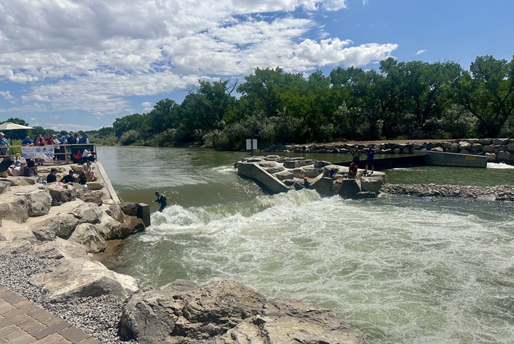 River surfing the Animas River in Farmington New Mexico