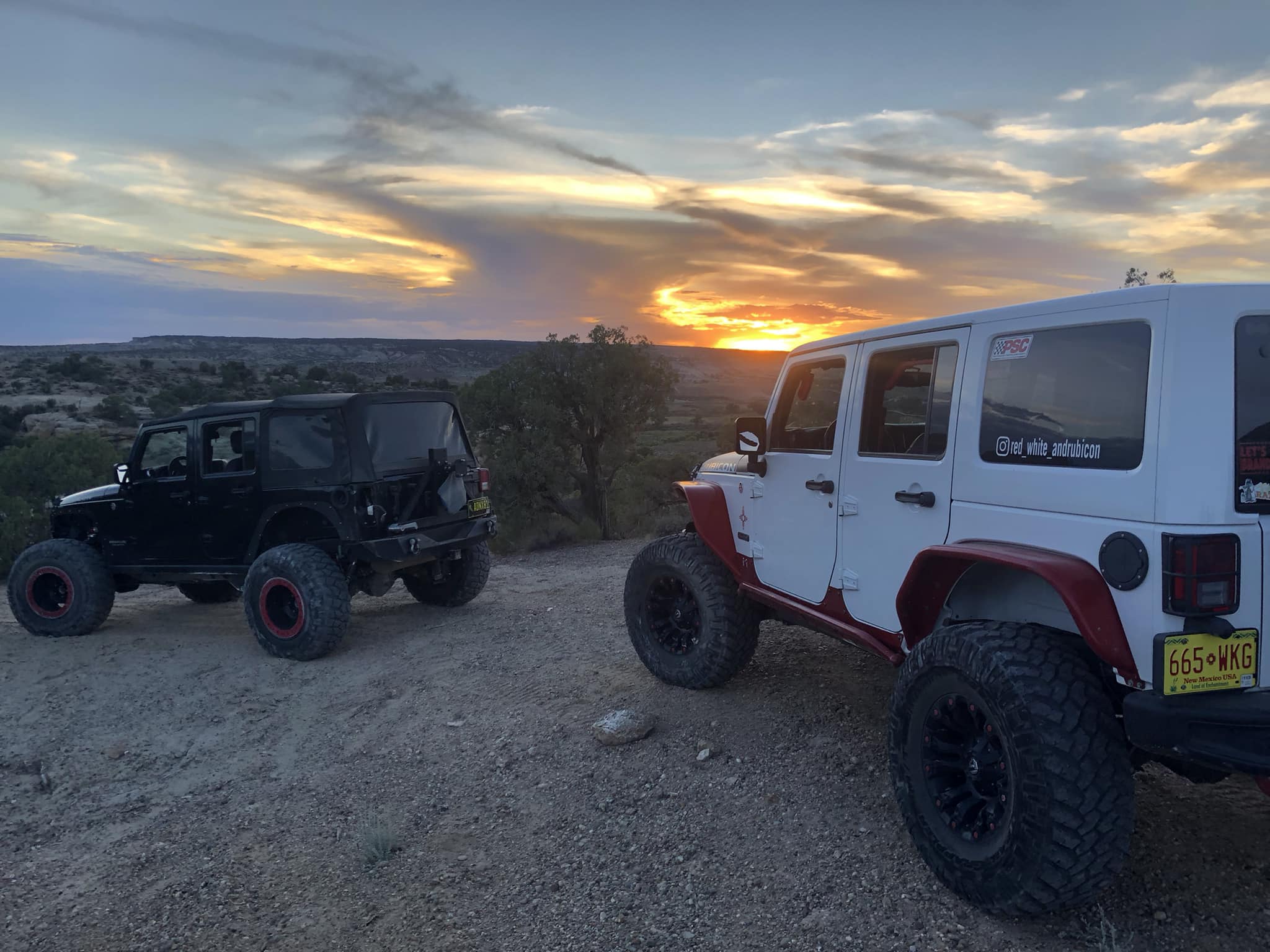 Scenic Drives and Thrilling Rides with Bear Automotive Jeep Tours