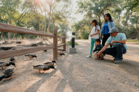 Family-Friendly and Affordable Fun in Farmington