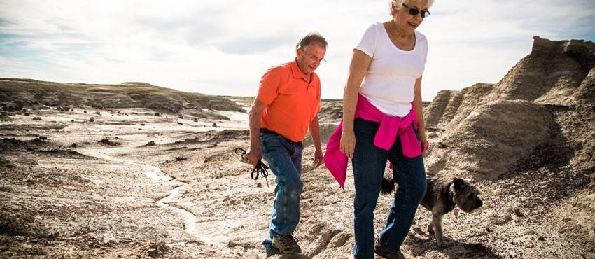 Guided Tours Chaco Canyon Fish and Wildlife Farmington