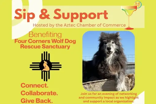 Sip &amp; Support