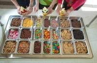 Aspen Leaf Frozen Yogurt