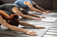 Aztec Wellness Day