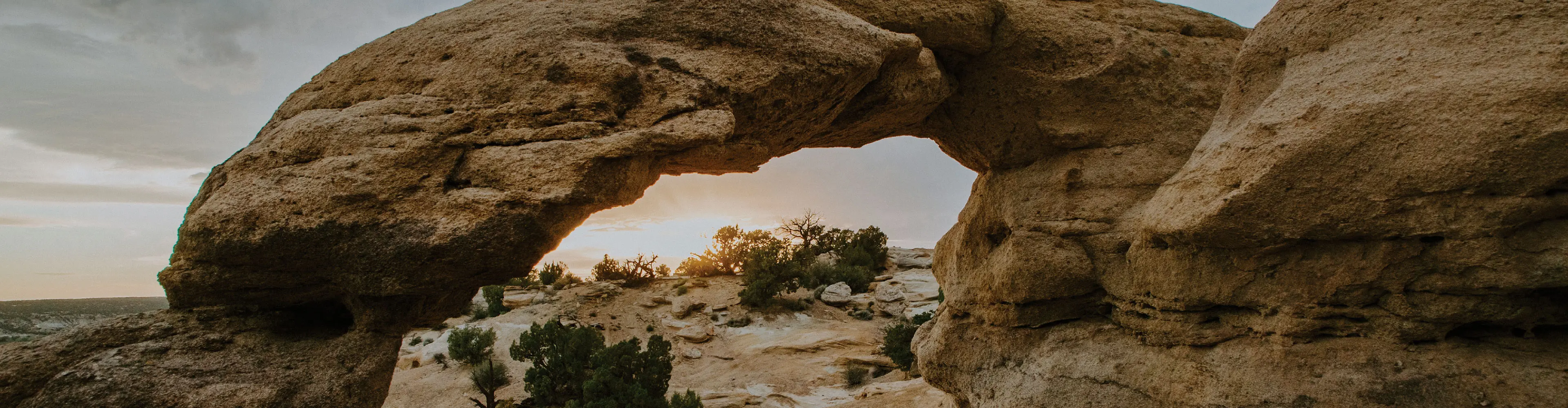 Exploring New Mexico’s Wineries