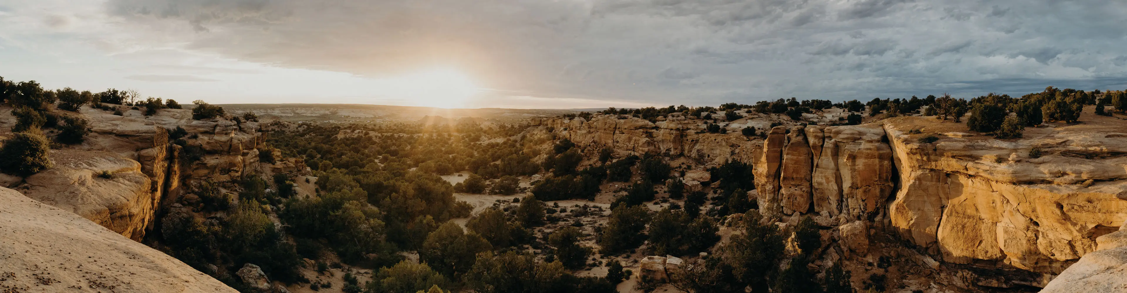 2023 Farmington Vacation Guide