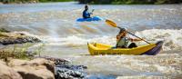 Paddlers Wanted