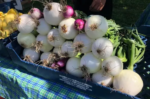 Bloomfield Growers Market
