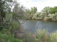 13 Enchanting Spots In New Mexico You Never Knew Existed - Berg and Boyd Park