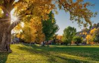 Brookside Park