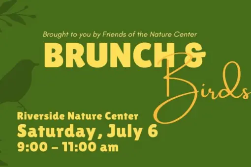 Brunch &amp; Birds