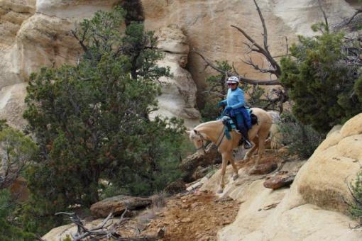 Caballo Canyon Competitive Trail Ride