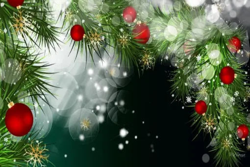 Live Christmas Card to Community