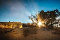 Trails to Blaze and Vistas to Explore