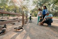 Family-Friendly and Affordable Fun in Farmington