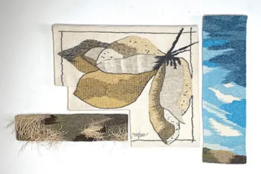 Whispers from the Land: Exhibition of Works by Molly Elkind &amp; Patricia Joy