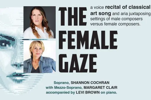 The Female Gaze