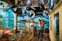 Fish and Wildlife Museum