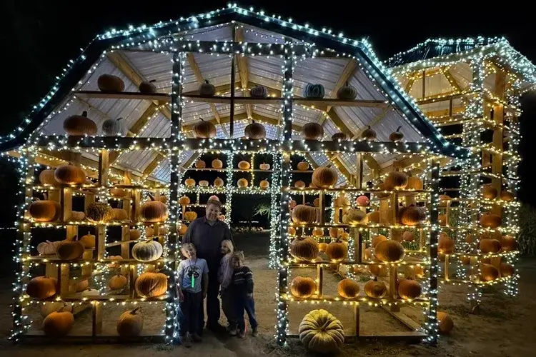 Holiday Farms