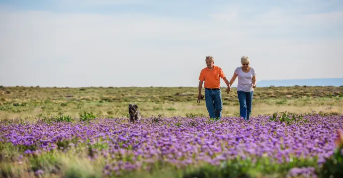 Couple hiking in spring flowers Farmington New Mexico