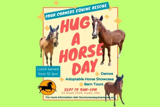 Hug a Horse Day