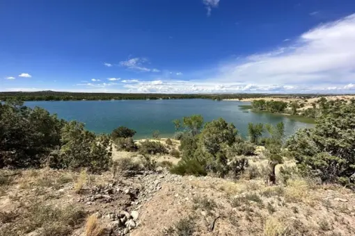 Lake Farmington Cleanup