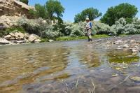 Majestic Fishing Adventures