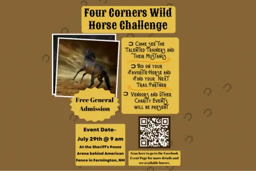 Four Corners Wild Horse Challenge