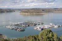 A Guide to Visiting Navajo Lake State Park