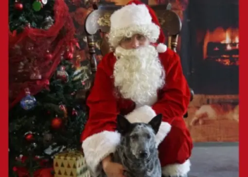 Santa Paws