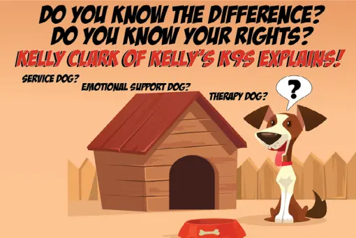Service Dog Program