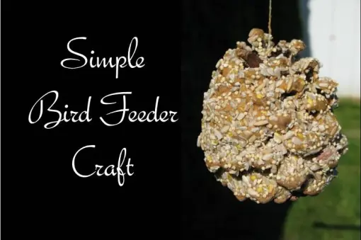 Make Simple Bird Feeders