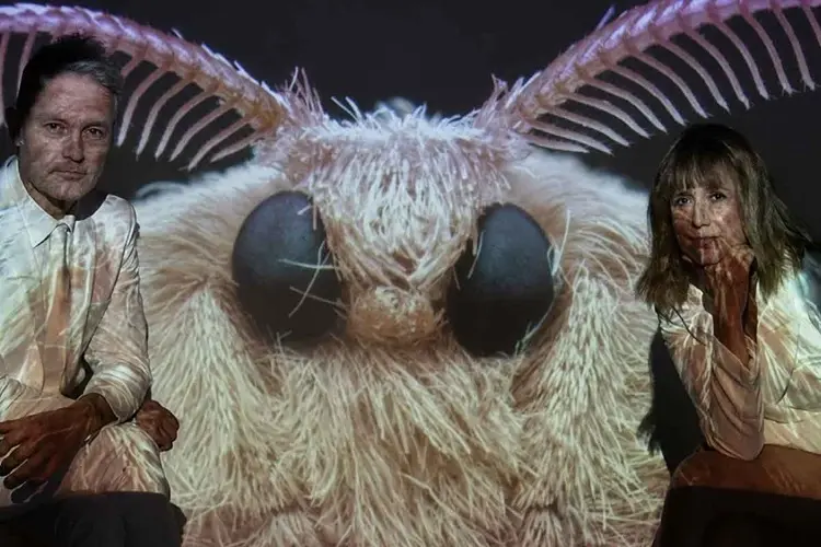 The Moth Project