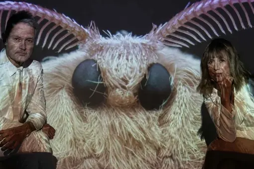 The Moth Project