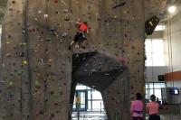 Rock Climbing Wall