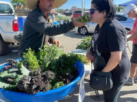 Discover the Farmington Growers Market and Makers Market