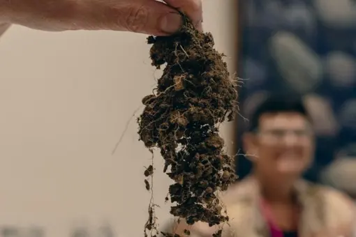 DIY Soil Health Workshop