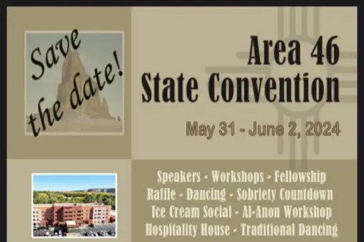 Area 46 State Convention