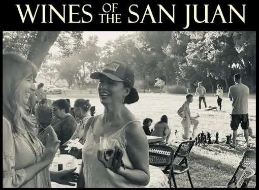 Sunday Music in the Shade