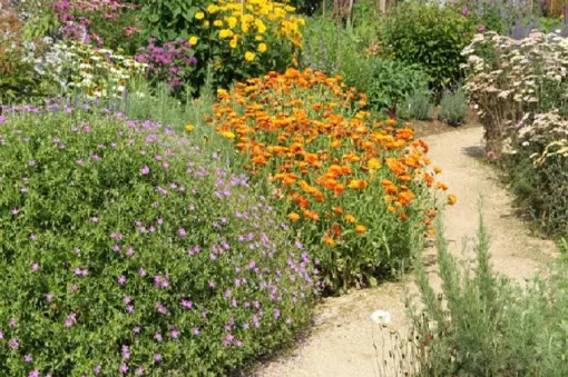 Xeriscape Garden Tour