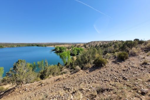  Lake Farmington Cleanup