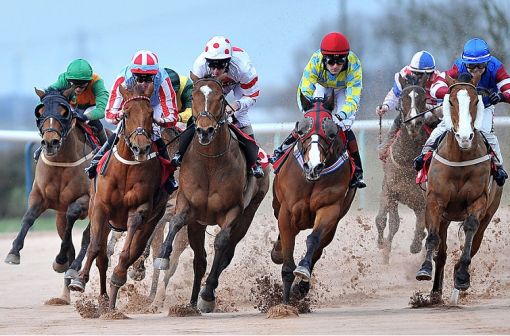 Live Horse Racing