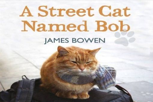 A Street Cat Named Bob