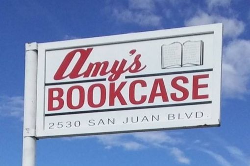 Small Business Saturday at Amy's Bookcase
