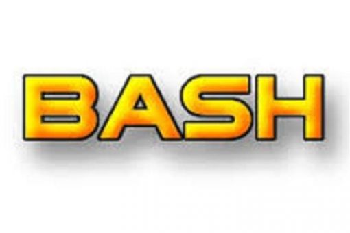 BASH (Business and Social Hour)
