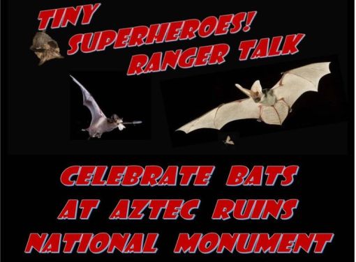 Bats: Tiny Superheroes!