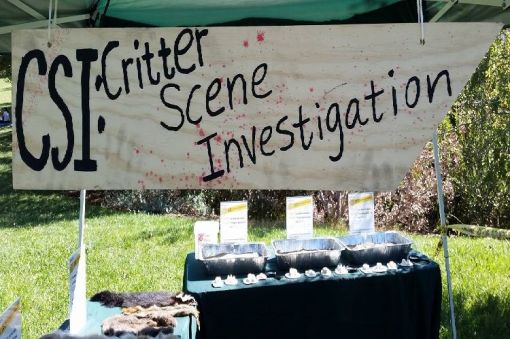 CSI: Critter Scene Investigation at Aztec Ruins