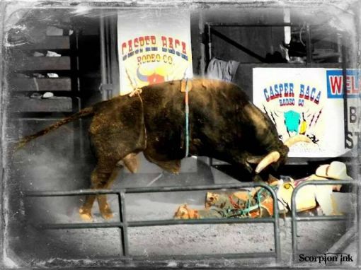 Casper Baca Rodeo's Bull Riding Extraordinaire