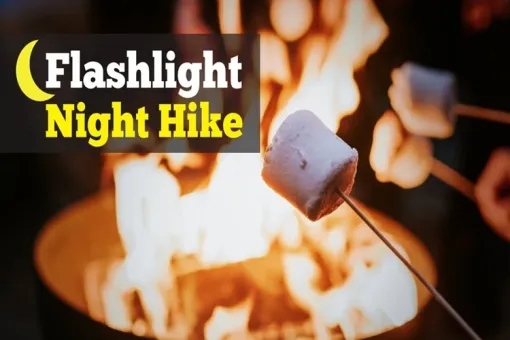 Flashlight Night Hike