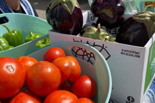 Tuesday Farmington Growers Market